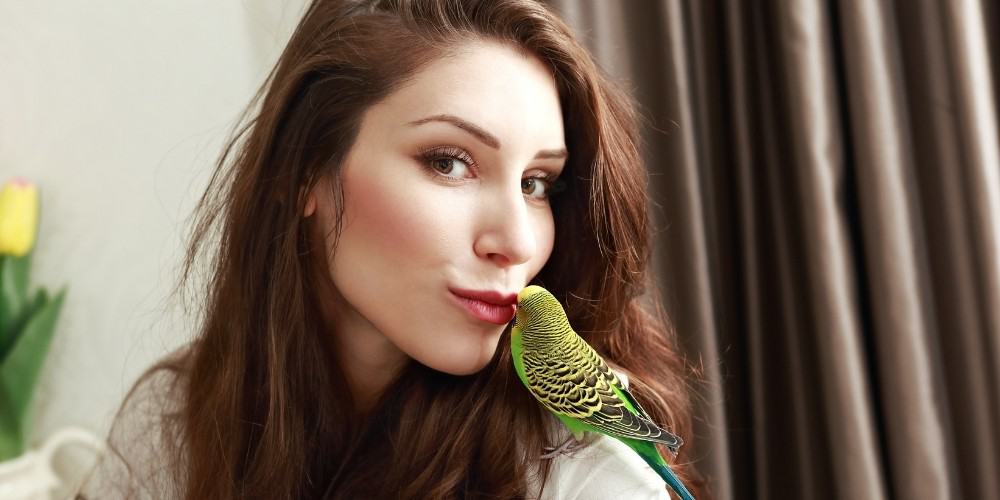 Girl Getting Kiss From Parakeet